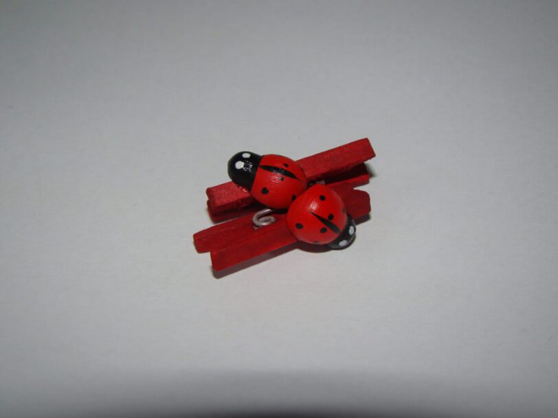 Mini knijpers lieveheersbeestje 20 stuks 2,5 cm - Afbeelding 3