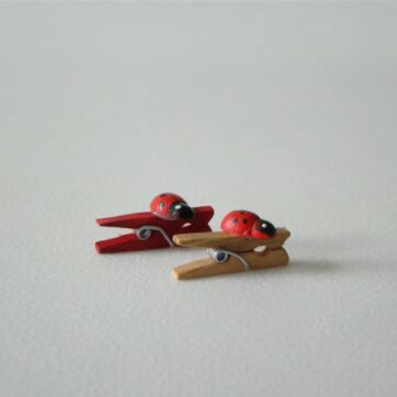 Mini knijpers lieveheersbeestje 20 stuks 2,5 cm