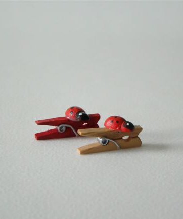 Mini knijpers lieveheersbeestje 20 stuks 2,5 cm