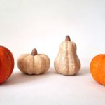 Mini pompoenen (set) - Afbeelding 6