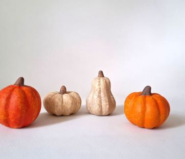 Mini pompoenen (set)
