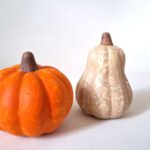 Mini pompoenen (set) - Afbeelding 5