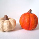 Mini pompoenen (set) - Afbeelding 3
